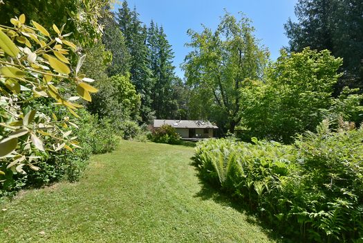 mar_6510 at 1533 Park Avenue, Roberts Creek, Sunshine Coast