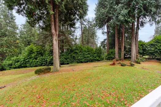 914-gower-point-road-gibsons-area-sunshine-coast-38 at 914 Gower Point Road, Gibsons & Area, Sunshine Coast