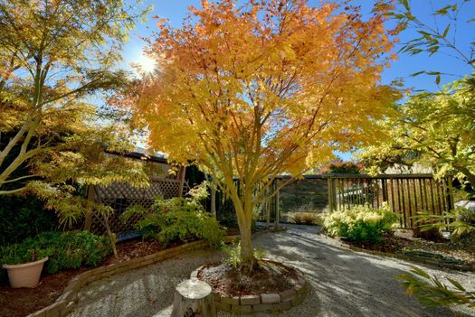 6252-baillie-road-sechelt-district-sunshine-coast-34 at 6252 Baillie Road, Sechelt District, Sunshine Coast