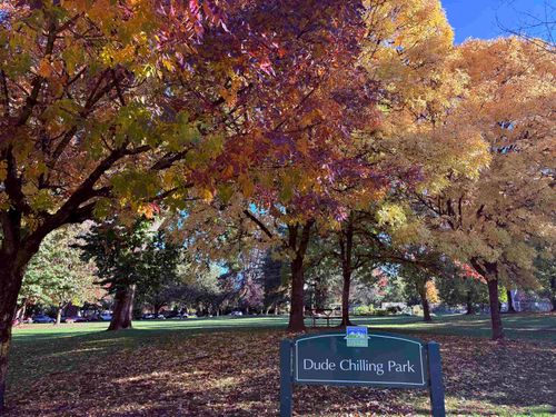 330-e-7th-avenue-mount-pleasant-ve-vancouver-east-24 at 301 - 330 E 7th Avenue, Mount Pleasant VE, Vancouver East