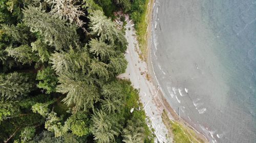 unnamed-7 at Lot 2 S Carmanah Mainline Road