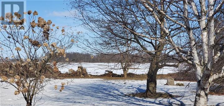 510-main-street-e-springford-00 at 510 Main Street E, Otterville