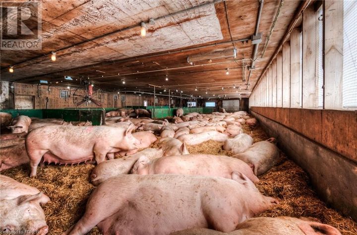 383305-salford-road-salford-03 at 383305 Salford Road, Salford