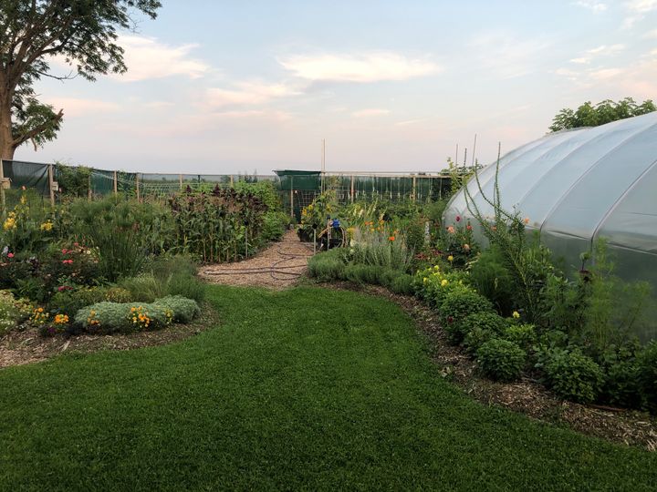 44 at 150 Talbot Street, Courtland