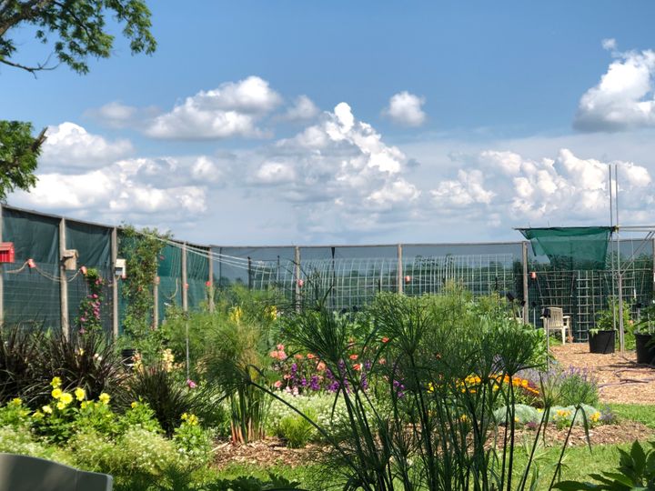 45 at 150 Talbot Street, Courtland