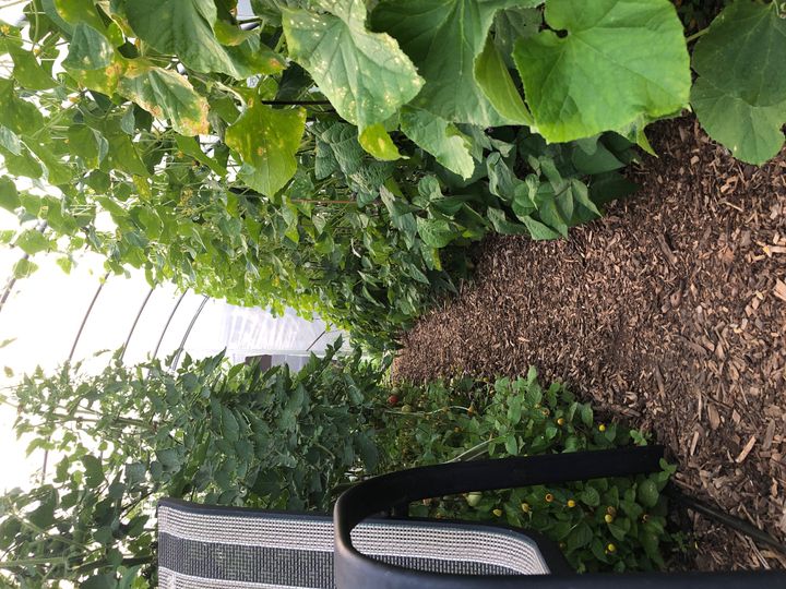 47 at 150 Talbot Street, Courtland