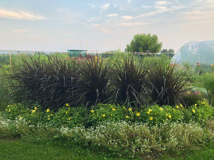 48 at 150 Talbot Street, Courtland