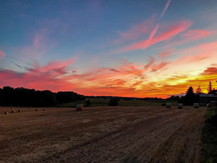 whatsapp-image-2022-03-08-at-120022-pm at 505738 Old Stage Road, Woodstock