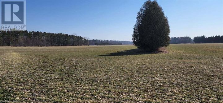 329-eight-concession-road-harley-01 at 329 Eight Concession Road, Harley