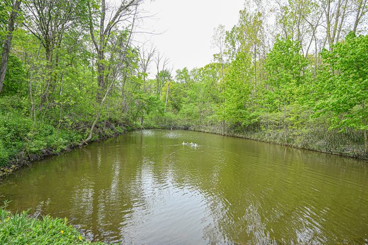 untitled-1057 at 213 Bostwick Road, Norfolk County