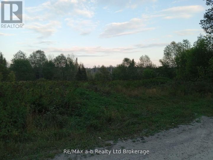 na-na-road-central-timiskaming-englehart-07 at N/A N/a Road, Central Timiskaming, Englehart