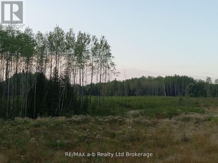 na-na-road-central-timiskaming-englehart-06 at N/A N/a Road, Central Timiskaming, Englehart