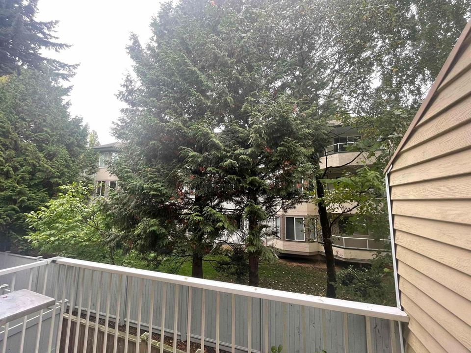 3087-immel-street-central-abbotsford-abbotsford-14 at 20 - 3087 Immel Street, Central Abbotsford, Abbotsford