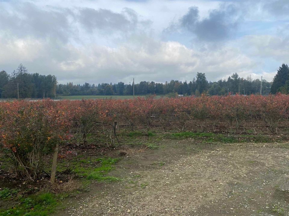 29996-marshall-exten-road-aberdeen-abbotsford-13 at 29996 Marshall Exten Road, Aberdeen, Abbotsford