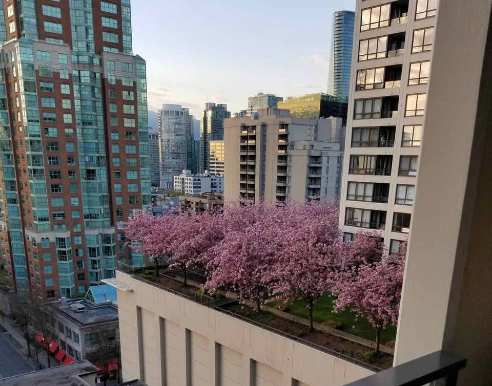 938-smithe-street-downtown-vw-vancouver-west-34 at 1507 - 938 Smithe Street, Downtown VW, Vancouver West