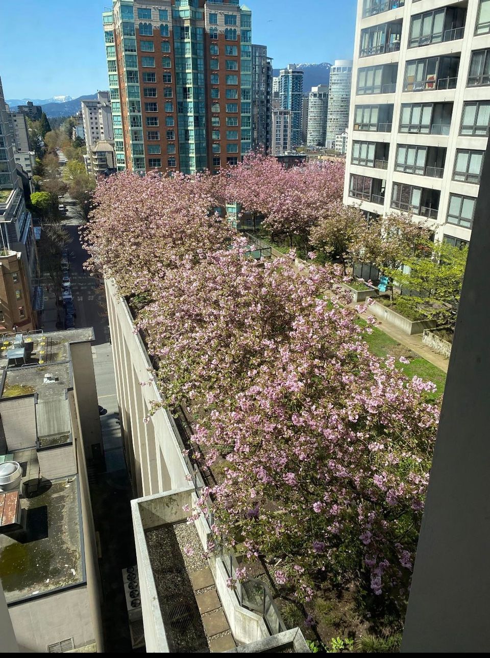 938-smithe-street-downtown-vw-vancouver-west-36 at 1507 - 938 Smithe Street, Downtown VW, Vancouver West