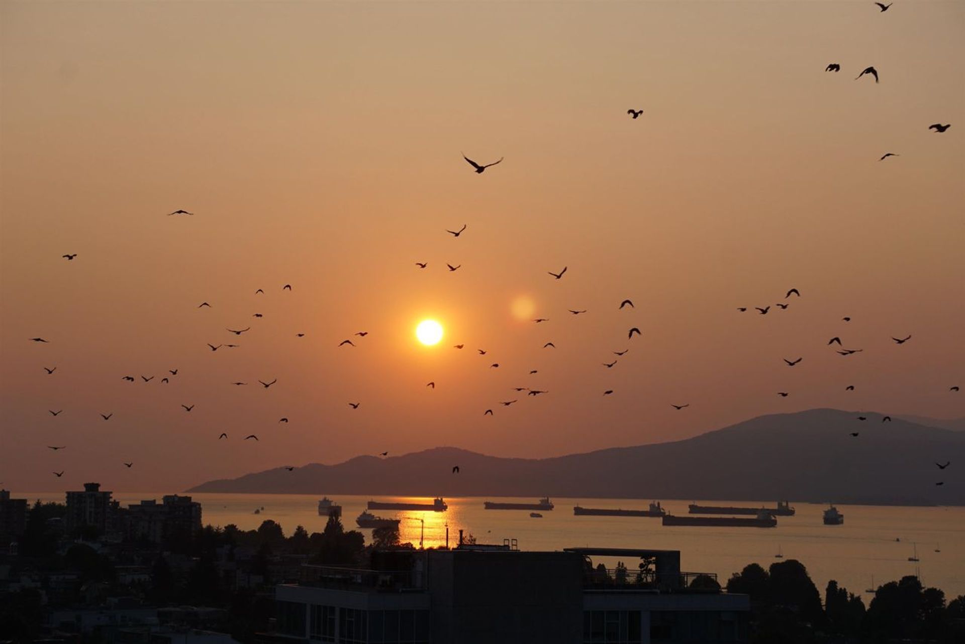 1483-w-7th-avenue-fairview-vw-vancouver-west-33