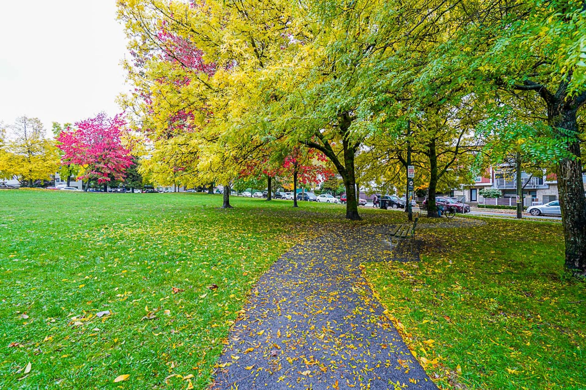 2339-scotia-street-vancouver-edit-36