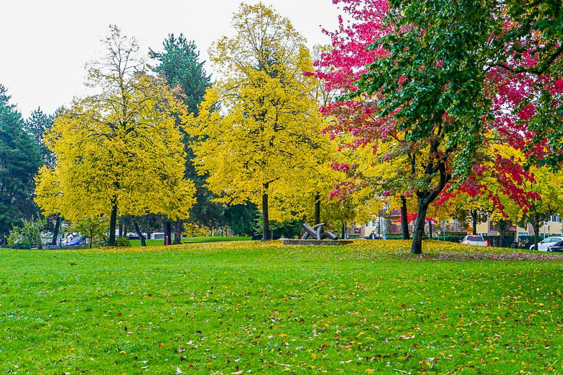 2339-scotia-street-vancouver-edit-39