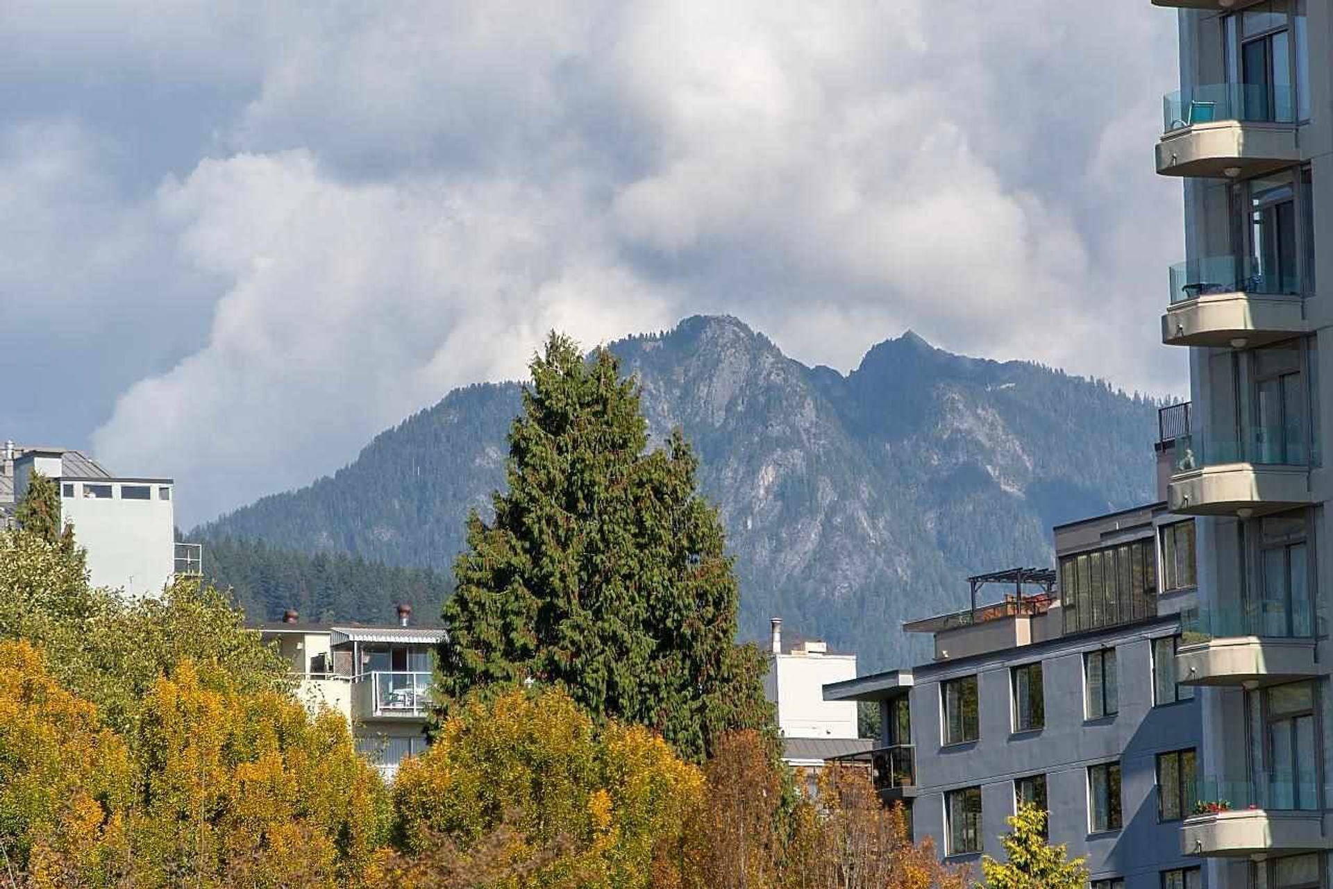 1845-bellevue-avenue-ambleside-west-vancouver-14