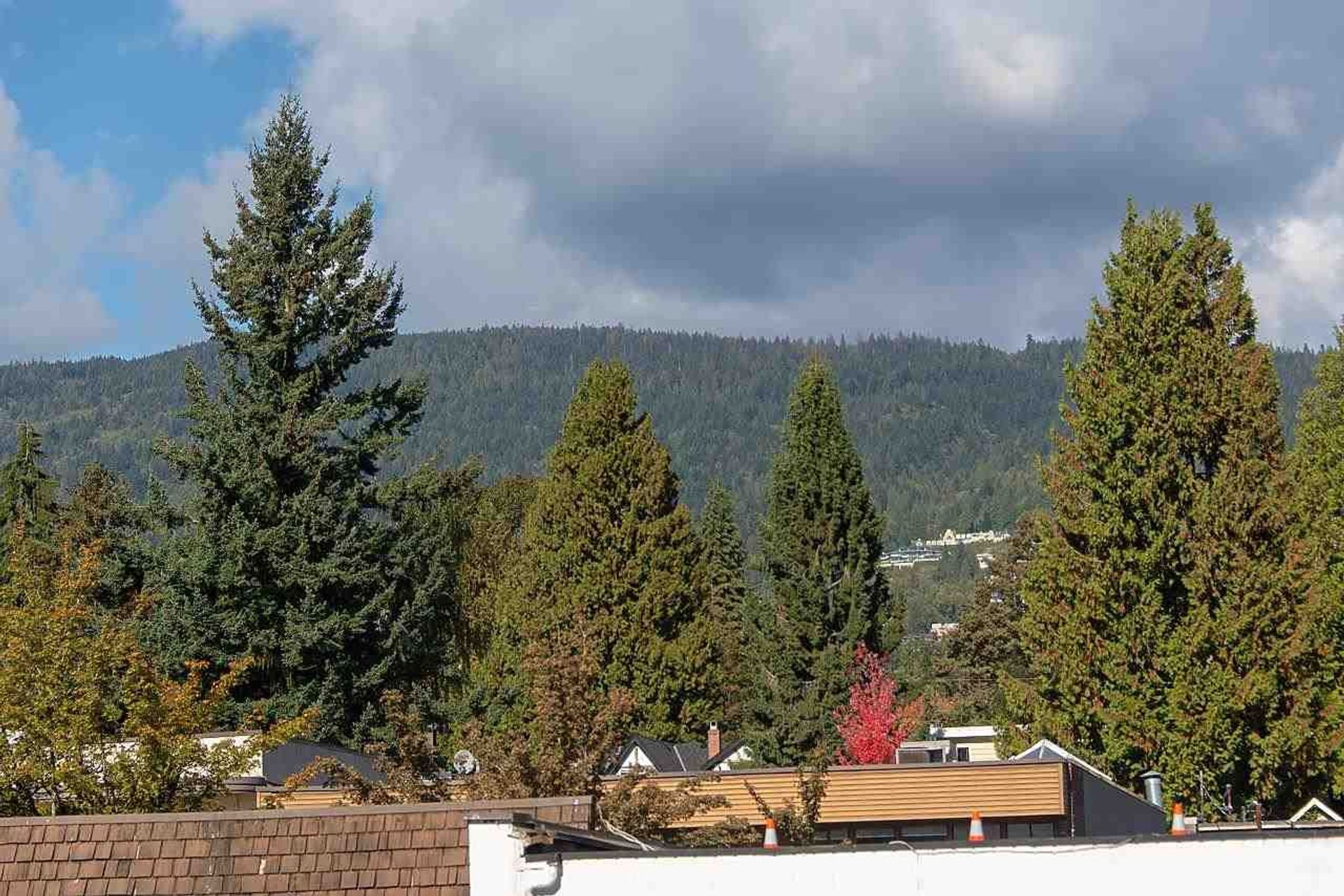 1845-bellevue-avenue-ambleside-west-vancouver-15