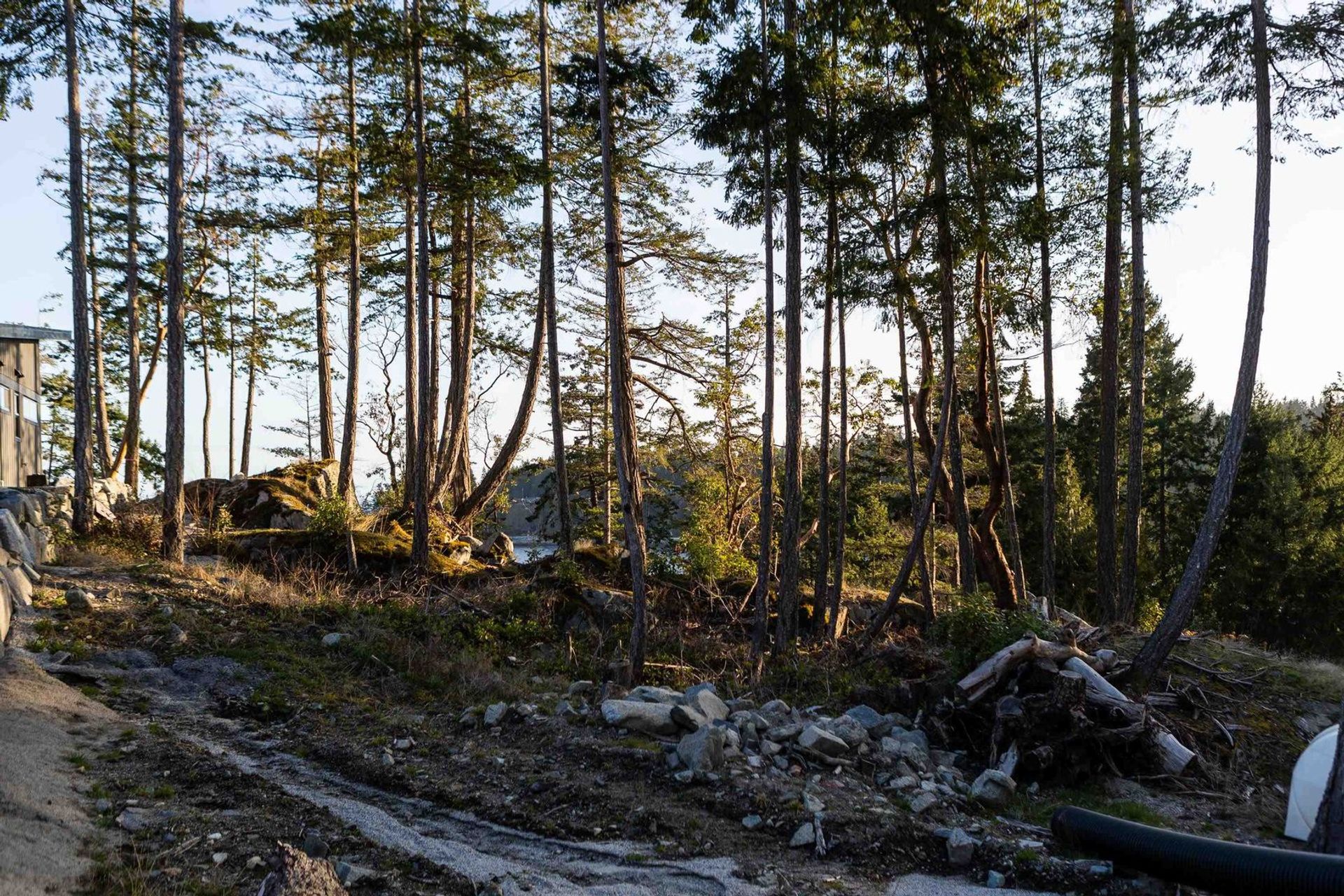 7699-cove-beach-lane-halfmn-bay-secret-cv-redroofs-sunshine-coast-16