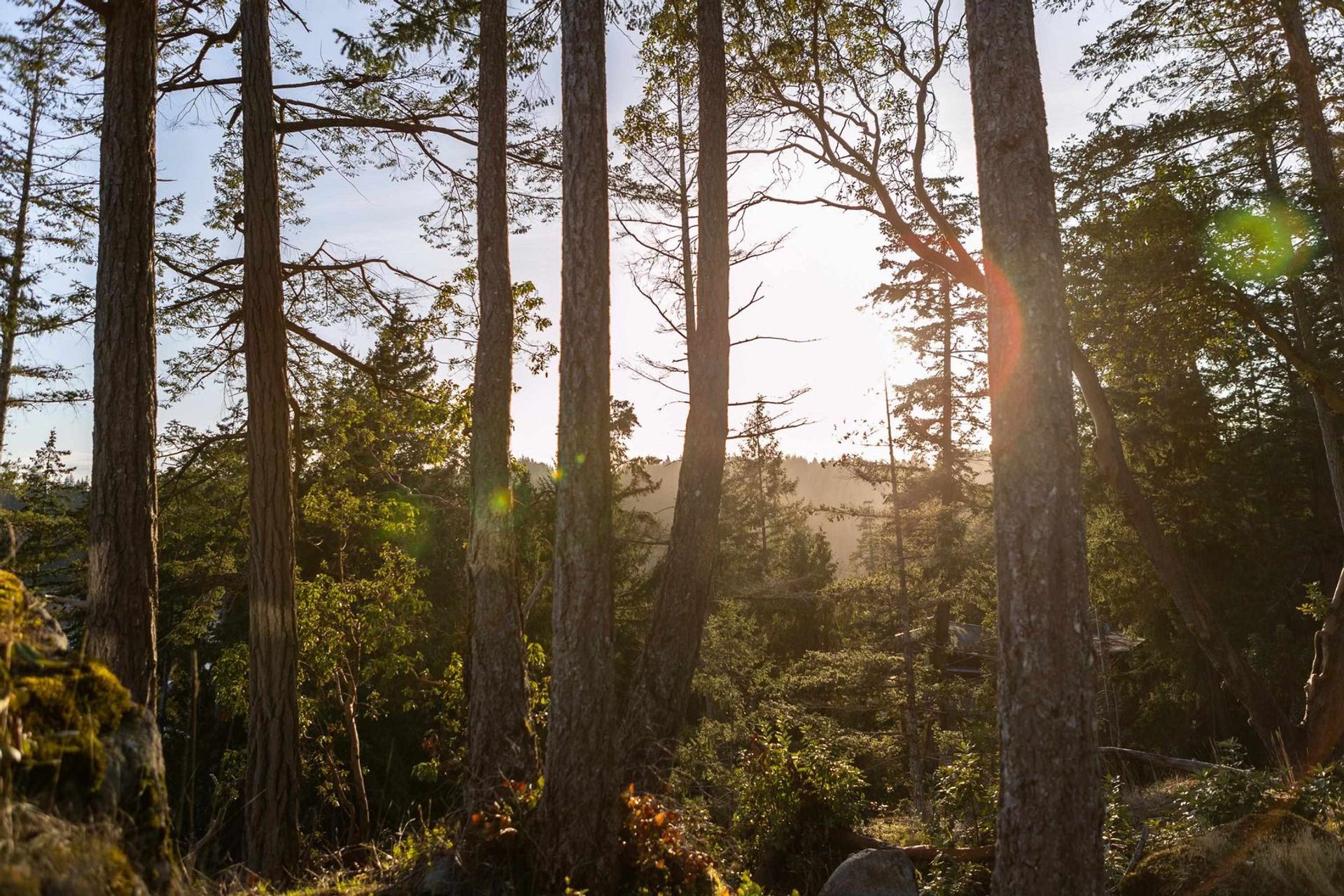 7699-cove-beach-lane-halfmn-bay-secret-cv-redroofs-sunshine-coast-17