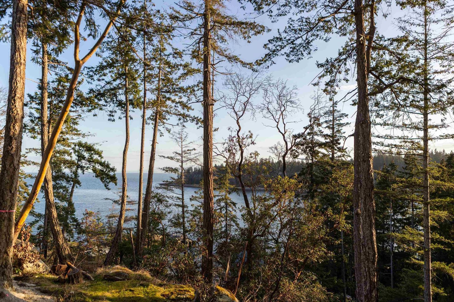 7699-cove-beach-lane-halfmn-bay-secret-cv-redroofs-sunshine-coast-18