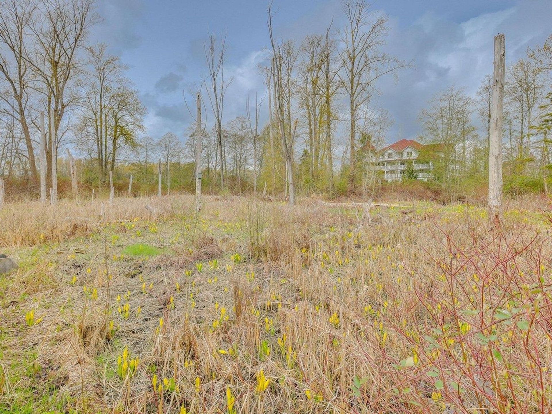 6105-river-road-east-delta-ladner-31