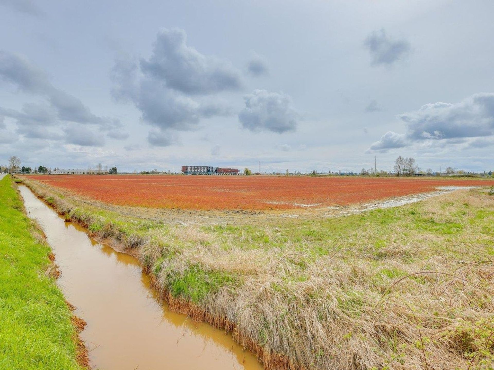 6105-river-road-east-delta-ladner-33