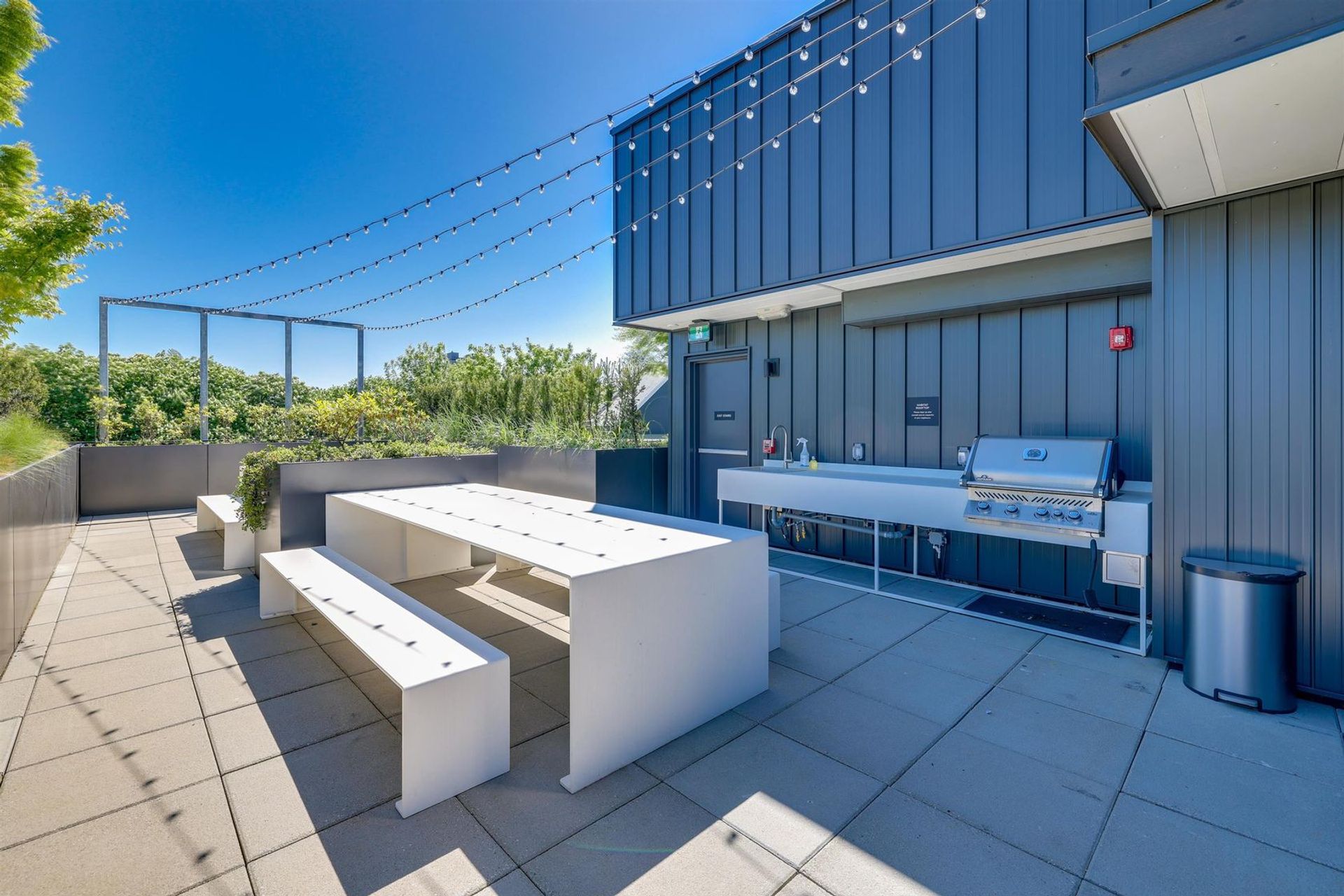 2520-guelph-street-mount-pleasant-ve-vancouver-east-16