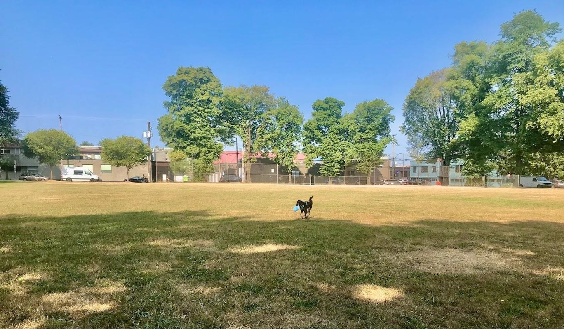 1615-frances-street-hastings-vancouver-east-15