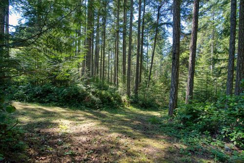 11515-sunshine-coast-highway-pender-harbour-egmont-sunshine-coast-23 at 11515 Sunshine Coast Highway, Pender Harbour Egmont, Sunshine Coast