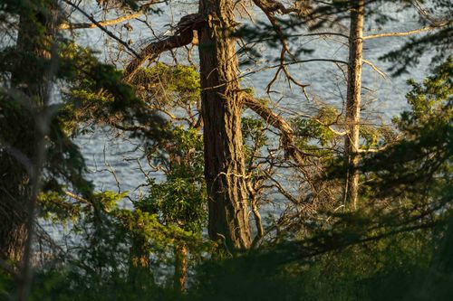 blk-a-sunshine-coast-highway-pender-harbour-egmont-sunshine-coast-15 at BLK A Sunshine Coast Highway, Halfmn Bay Secret Cv Redroofs, Sunshine Coast