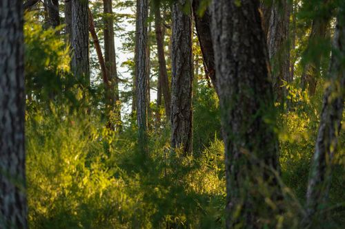 blk-a-sunshine-coast-highway-pender-harbour-egmont-sunshine-coast-16 at BLK A Sunshine Coast Highway, Halfmn Bay Secret Cv Redroofs, Sunshine Coast