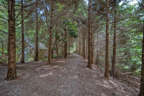 12710-lagoon-road-pender-harbour-egmont-sunshine-coast-25 at 14 - 12710 Lagoon Road, Pender Harbour Egmont, Sunshine Coast