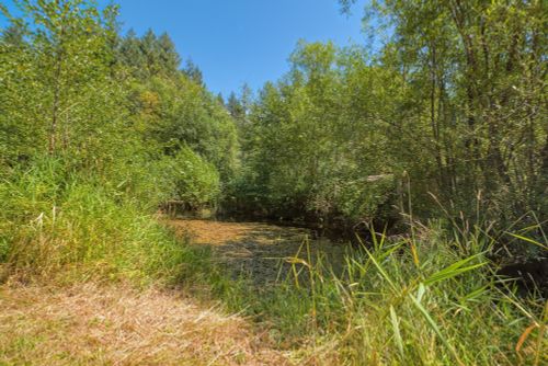 13587-barabash-road-pender-harbour-egmont-sunshine-coast-35 at 13587 Barabash Road, Pender Harbour Egmont, Sunshine Coast