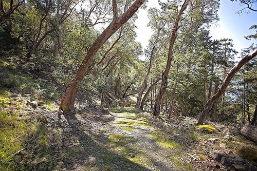 206-west-narrows-road-salt-spring-island-islands-van-gulf-04 at 206 West Narrows Road, Salt Spring Island, Islands-Van. & Gulf 206-west-narrows-road-salt-spring-island-islands-van-gulf-04 at 206 West Narrows Road, Salt Spring Island, Islands-Van. & Gulf