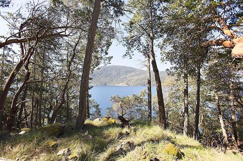 206-west-narrows-road-salt-spring-island-islands-van-gulf-05 at 206 West Narrows Road, Salt Spring Island, Islands-Van. & Gulf 206-west-narrows-road-salt-spring-island-islands-van-gulf-05 at 206 West Narrows Road, Salt Spring Island, Islands-Van. & Gulf