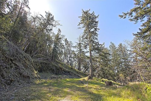 206-west-narrows-road-salt-spring-island-islands-van-gulf-07 at 206 West Narrows Road, Salt Spring Island, Islands-Van. & Gulf 206-west-narrows-road-salt-spring-island-islands-van-gulf-07 at 206 West Narrows Road, Salt Spring Island, Islands-Van. & Gulf