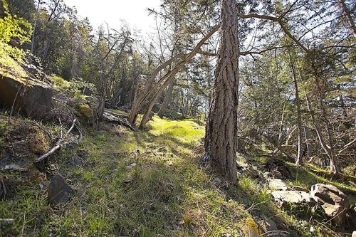 206-west-narrows-road-salt-spring-island-islands-van-gulf-08 at 206 West Narrows Road, Salt Spring Island, Islands-Van. & Gulf 206-west-narrows-road-salt-spring-island-islands-van-gulf-08 at 206 West Narrows Road, Salt Spring Island, Islands-Van. & Gulf