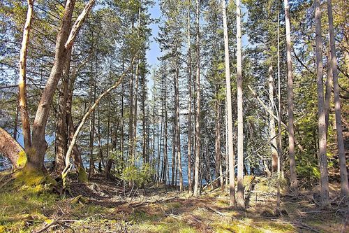 206-west-narrows-road-salt-spring-island-islands-van-gulf-09 at 206 West Narrows Road, Salt Spring Island, Islands-Van. & Gulf 206-west-narrows-road-salt-spring-island-islands-van-gulf-09 at 206 West Narrows Road, Salt Spring Island, Islands-Van. & Gulf