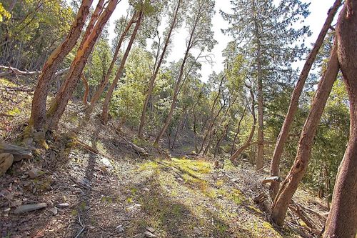 206-west-narrows-road-salt-spring-island-islands-van-gulf-15 at 206 West Narrows Road, Salt Spring Island, Islands-Van. & Gulf 206-west-narrows-road-salt-spring-island-islands-van-gulf-15 at 206 West Narrows Road, Salt Spring Island, Islands-Van. & Gulf