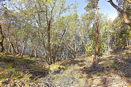 206-west-narrows-road-salt-spring-island-islands-van-gulf-17 at 206 West Narrows Road, Salt Spring Island, Islands-Van. & Gulf 206-west-narrows-road-salt-spring-island-islands-van-gulf-17 at 206 West Narrows Road, Salt Spring Island, Islands-Van. & Gulf