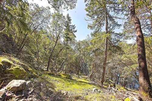 206-west-narrows-road-salt-spring-island-islands-van-gulf-21 at 206 West Narrows Road, Salt Spring Island, Islands-Van. & Gulf 206-west-narrows-road-salt-spring-island-islands-van-gulf-21 at 206 West Narrows Road, Salt Spring Island, Islands-Van. & Gulf