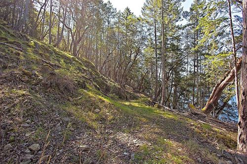 206-west-narrows-road-salt-spring-island-islands-van-gulf-22 at 206 West Narrows Road, Salt Spring Island, Islands-Van. & Gulf 206-west-narrows-road-salt-spring-island-islands-van-gulf-22 at 206 West Narrows Road, Salt Spring Island, Islands-Van. & Gulf
