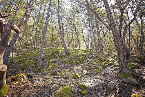 206-west-narrows-road-salt-spring-island-islands-van-gulf-23 at 206 West Narrows Road, Salt Spring Island, Islands-Van. & Gulf 206-west-narrows-road-salt-spring-island-islands-van-gulf-23 at 206 West Narrows Road, Salt Spring Island, Islands-Van. & Gulf