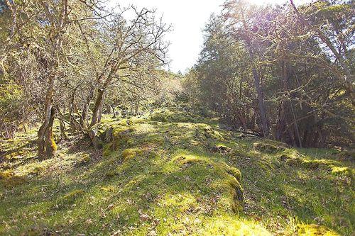 206-west-narrows-road-salt-spring-island-islands-van-gulf-25 at 206 West Narrows Road, Salt Spring Island, Islands-Van. & Gulf 206-west-narrows-road-salt-spring-island-islands-van-gulf-25 at 206 West Narrows Road, Salt Spring Island, Islands-Van. & Gulf