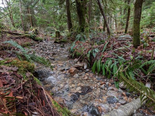 2089-port-mellon-highway-gibsons-area-sunshine-coast-32 at 2089 Port Mellon Highway, Gibsons & Area, Sunshine Coast