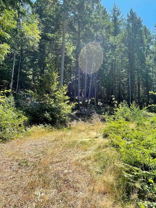 12248-sunshine-coast-highway-pender-harbour-egmont-sunshine-coast-18 at 12248 Sunshine Coast Highway, Pender Harbour Egmont, Sunshine Coast